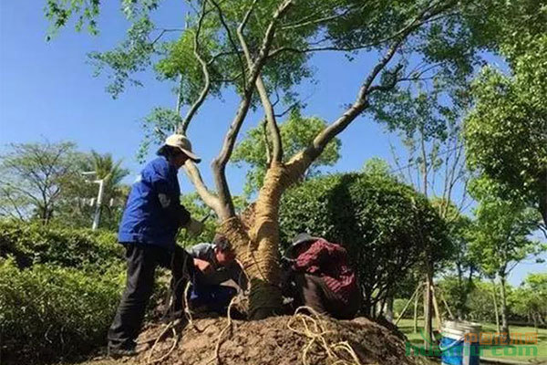 澳门新葡官网进入网站8883