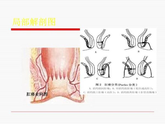 澳门新葡官网进入网站8883